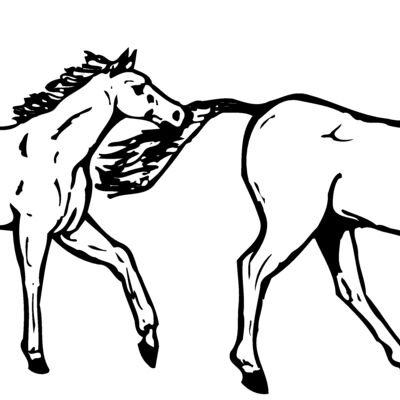 HORSE040 Thumbnail