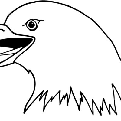 EAGLE41 Thumbnail