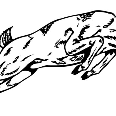 DEER020 Thumbnail